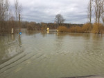 Rheinhochwasser in Rheinhausen